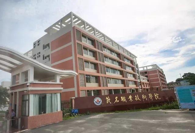 广东省高校招生计划的深度解读
