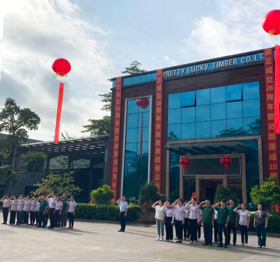 广东鼎盛天成有限公司，卓越之路与未来展望