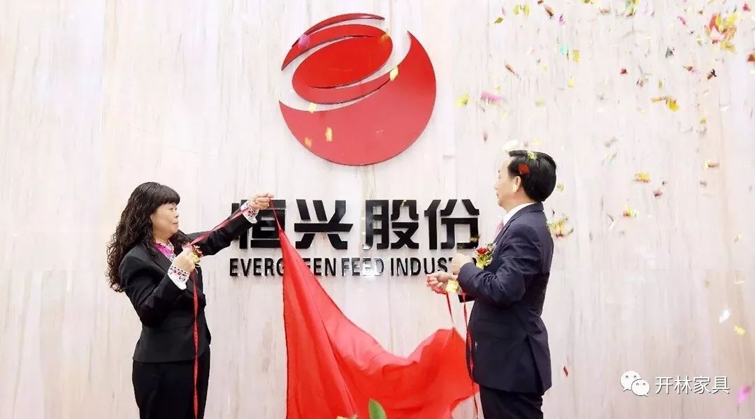 广东省恒兴集团，卓越发展的典范